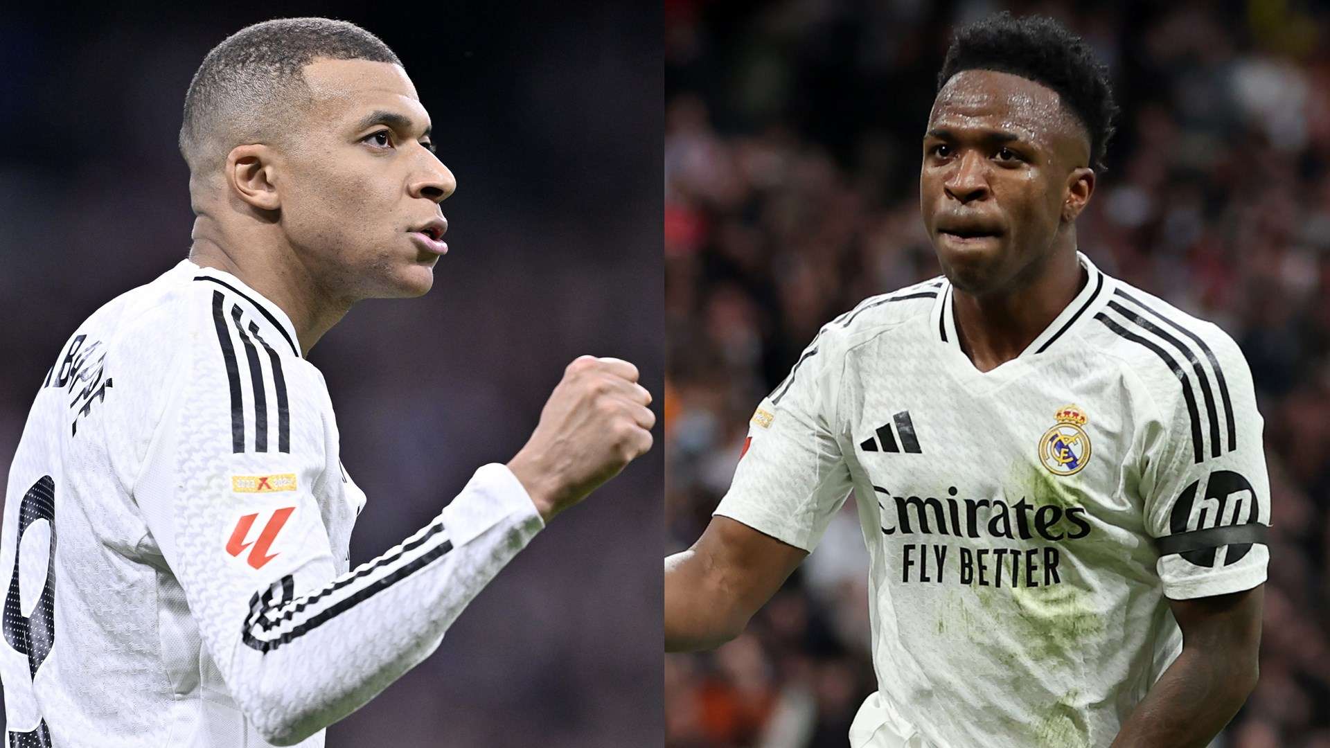 排球精英 排球精英